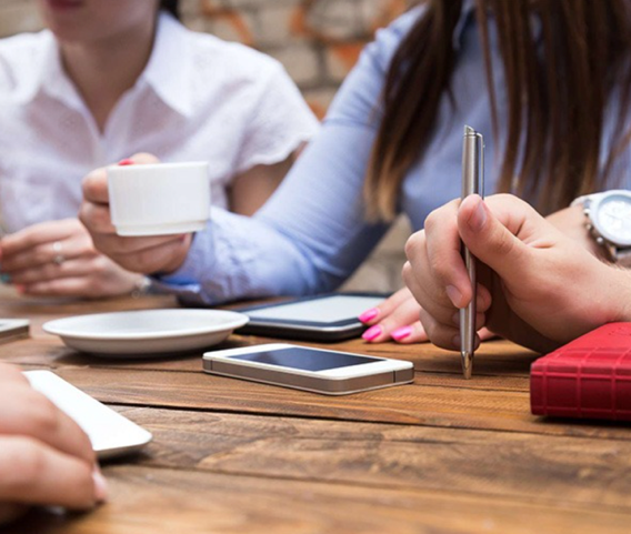 Au Domaine des Camélias©D.R.