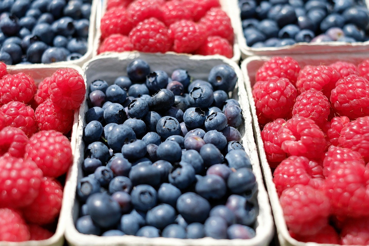 berries-1493905_1280