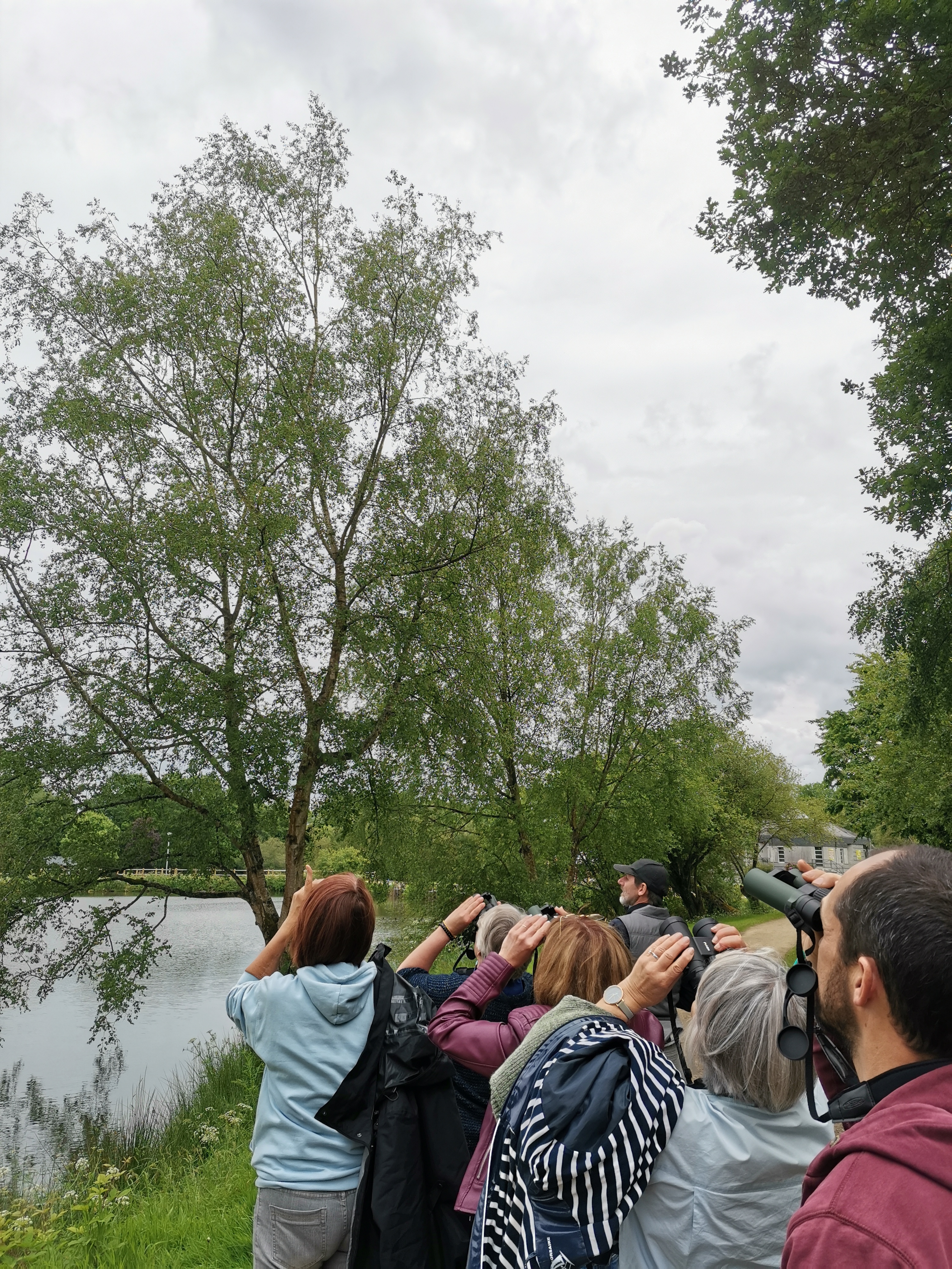 biodiversité