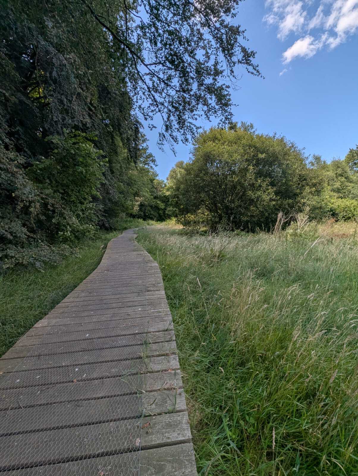 Grande échappée_Le Miel et l'Ével©Vallée du Blavet