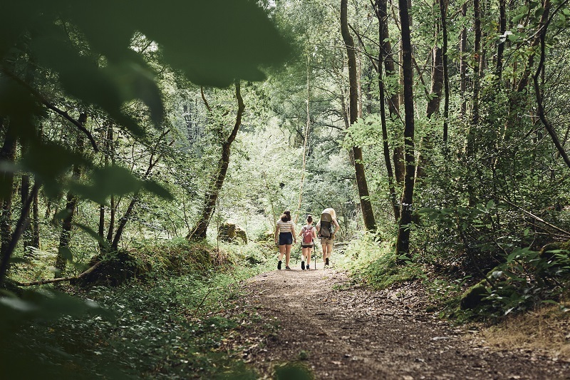 Grandes échappées_Forêt de Floranges@A_Lamoureux