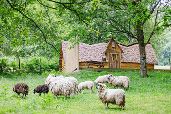 Hébergement insolite Koadou_Cabane Enchantée_Pluméliau-Bieuzy (1)