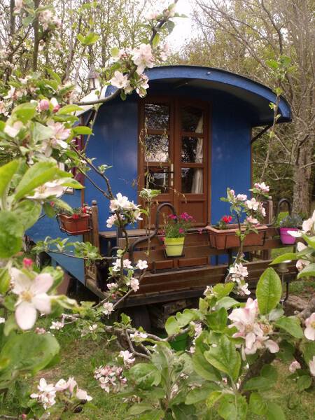 La roulotte sous les pommiers