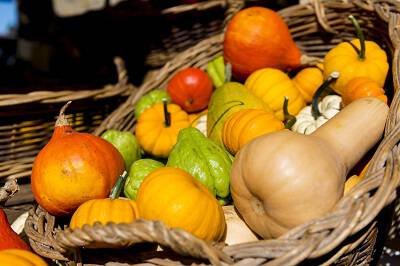 Légumes d'automne©VIEZZER-Martin_CRT Bretagne