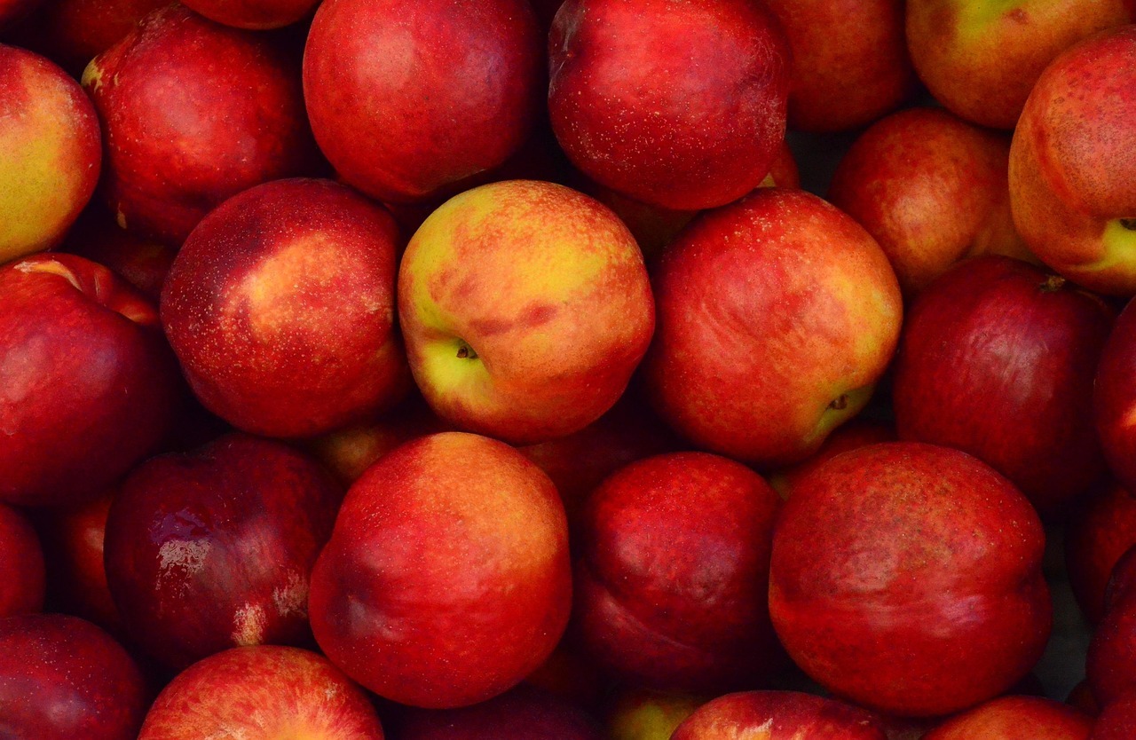 pommes-vallédublavet