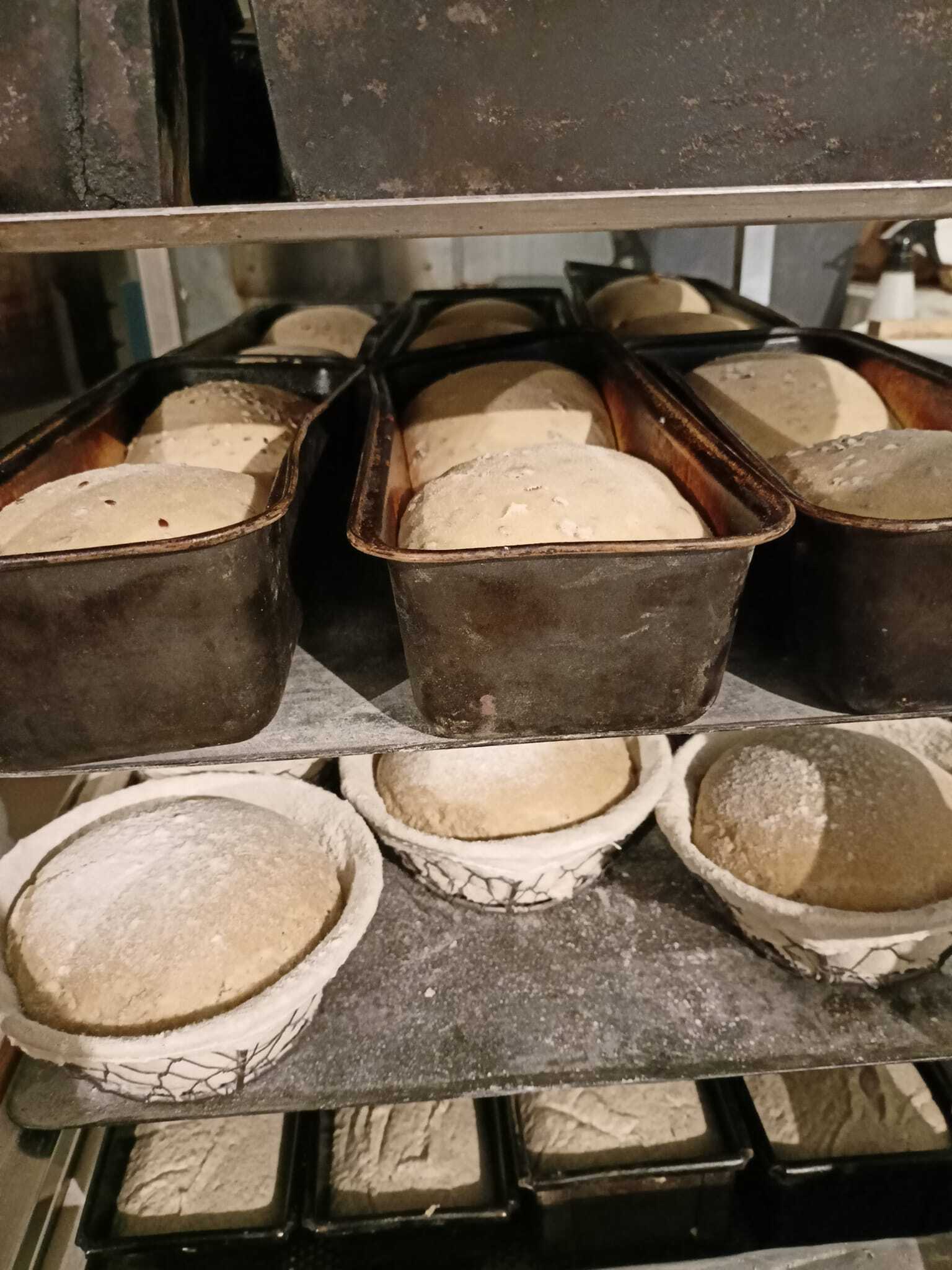 Prépa_Pains_ l'Atelier des Pains Pluméliau-Bieuzy