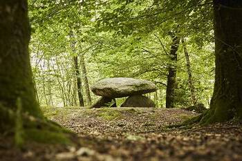 dolmen-roh-du-la-chapelle-neuve (12)