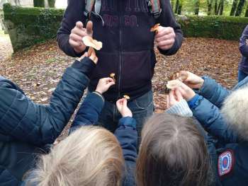 impa_211021-petite-echappee-animation-champignons-Guenin-Franck-Bugel-Nature-pour-tous-Vallee-du-Blavet-Tourisme---21-.jpg