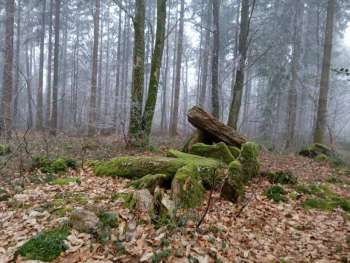 impa_2502-Allee-couverte-Prioldy-Baud-E.-Dubee-bd.jpg