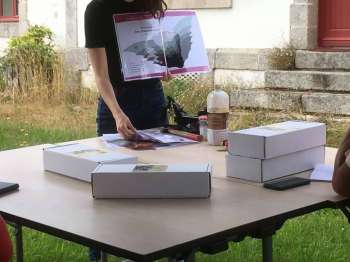 impa_ATELIER-CONSTRUCTION-DE-GITES-CS.JPG