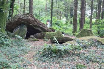 impa_Allee-couverte-du-Prieure-Baud-D.R..JPG