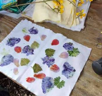 impa_Atelier-creation-vegetaux-Aurelie-Dacquay-Les-Ailes-de-la-foret--1-.jpg