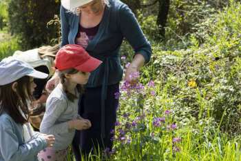 impa_Boissons-plantes-Kristell-Corre-D.R..jpg