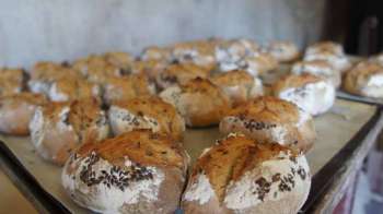impa_Pains--l-Atelier-des-Pains-Plumeliau-Bieuzy-2.jpg