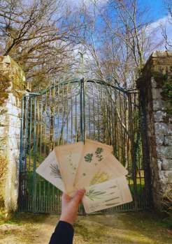 impa_Petites-echappees-Pouvoir-des-plantes-quinipily-Julie-Chemins-Detournees-2.jpg