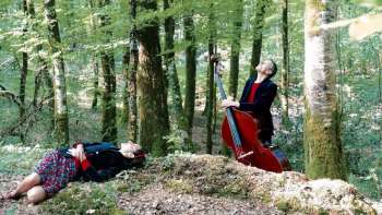 impa_Spectacle-a-l-oreille-du-bois-D.R..jpg