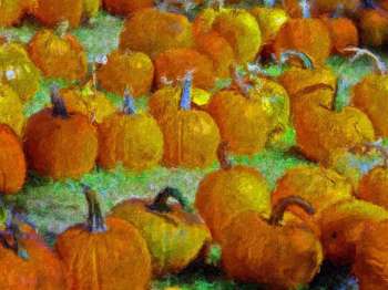 impa_publicdomainpictures-pumpkins-20723.jpg