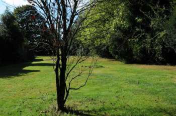 impg_Location-Gites-de-Kerlann-Ty-Kaouenn-jardin-La-Chapelle-Neuve-Gites-de-France-56.jpg