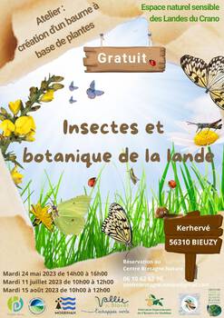 Insectes et botanique de la Lande