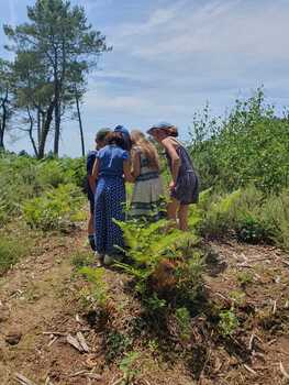 Lande du Crano©Centre Bretagne Nature (1)